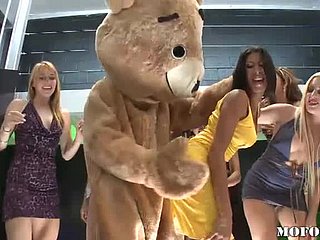 跳舞熊在热门单身派对中乱七八糟的拉丁·凯拉·卡雷拉